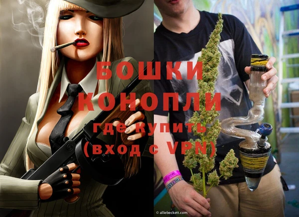 стаф Магадан