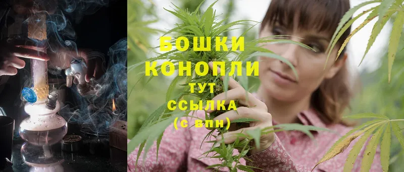 Канабис OG Kush  наркотики  Любань 